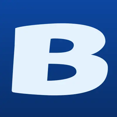 BioKamin, магазин каминов, лого-визитка
