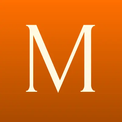 МеталлСтройСервис, лого-визитка